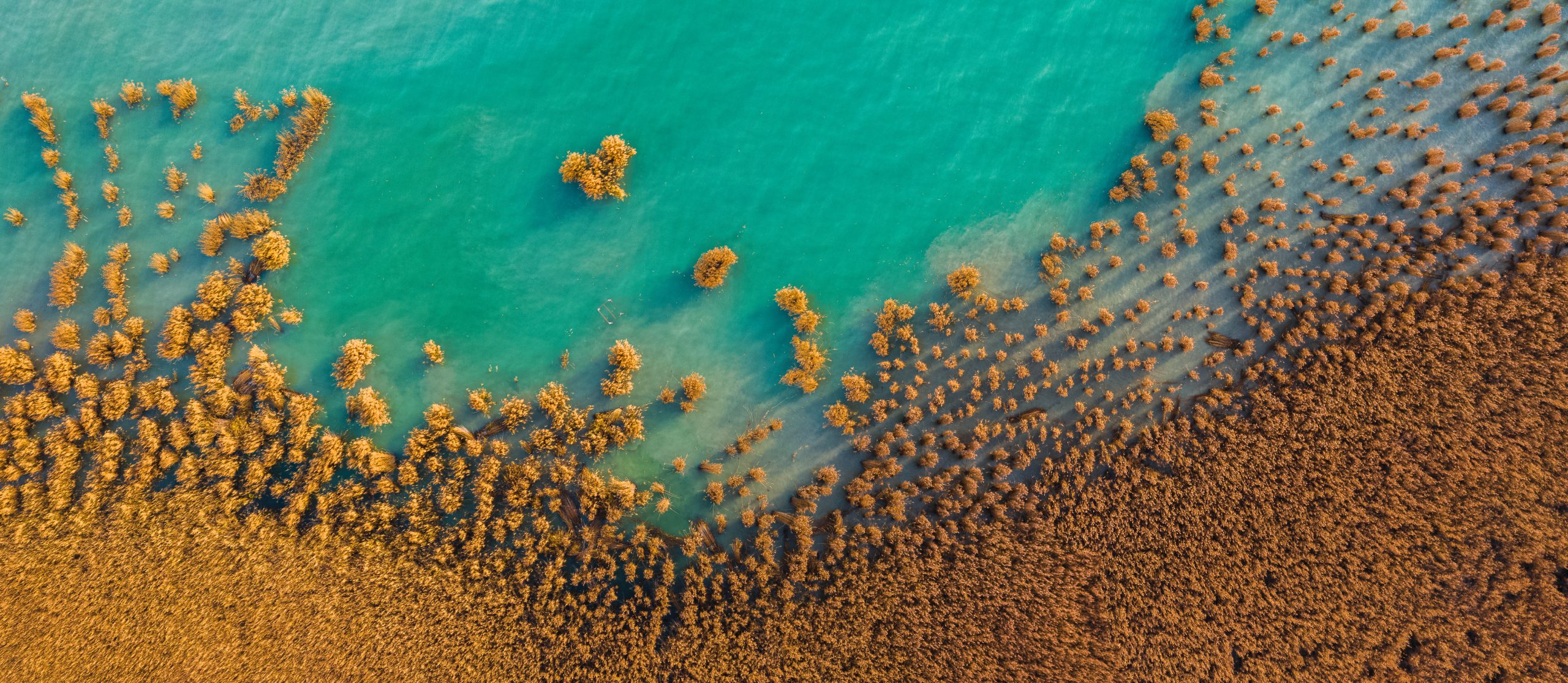 30a3e713d7f45c758c75034870d02cd8b9fafdf8