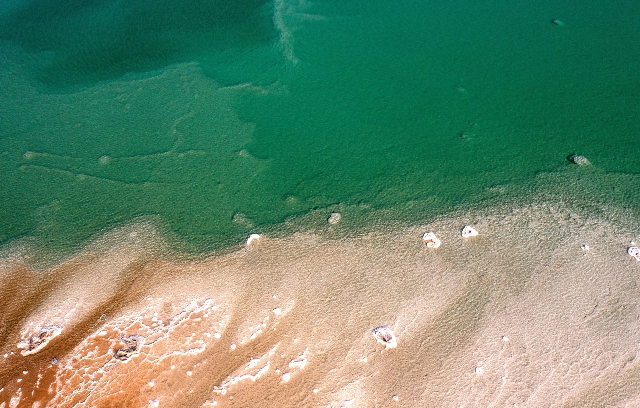 92a83bf68df2f4be690745831a8e710f3bc80306