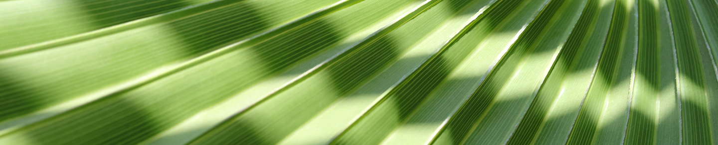 Publico y regulatorio